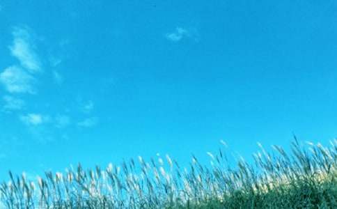 ��һ�|���L(f��ng)���ġ���Ʒ69ƪ��