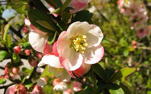 ԁ�׺��Ĺ�Ԋԭ�ķ��gעጼ��p��