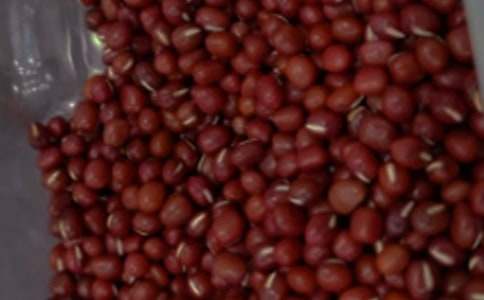 王維紅豆最相思原文