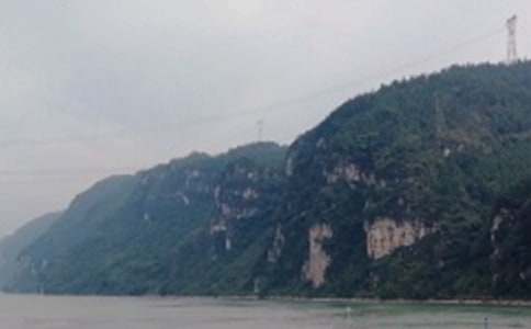 ���������{����